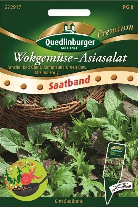 SB Wokgemüse Asiasalat