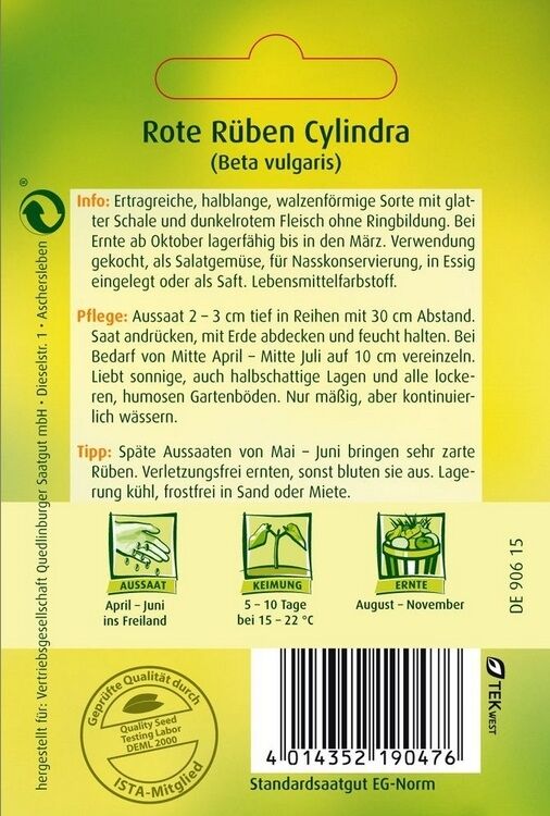 Rote Rübe Cylindra