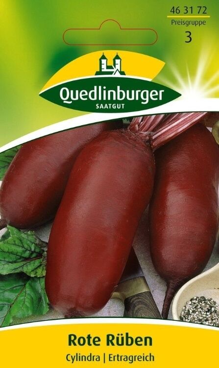 Rote Rübe Cylindra