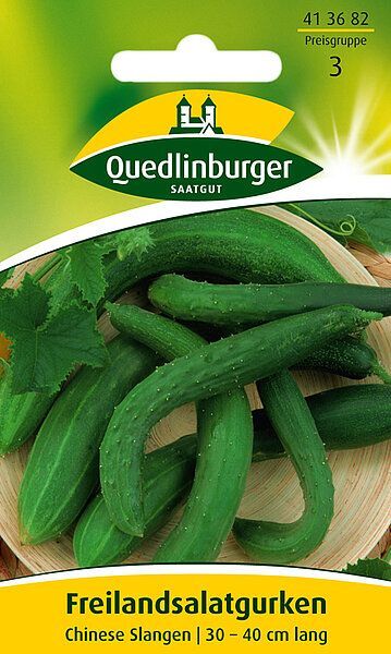 Freilandsalatgurken Chinese Slangen