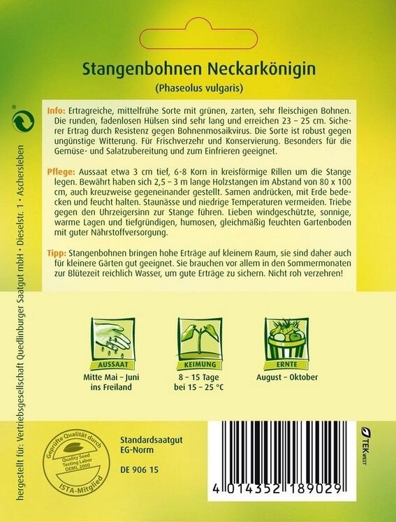 Stangenbohnen Neckarkönigin