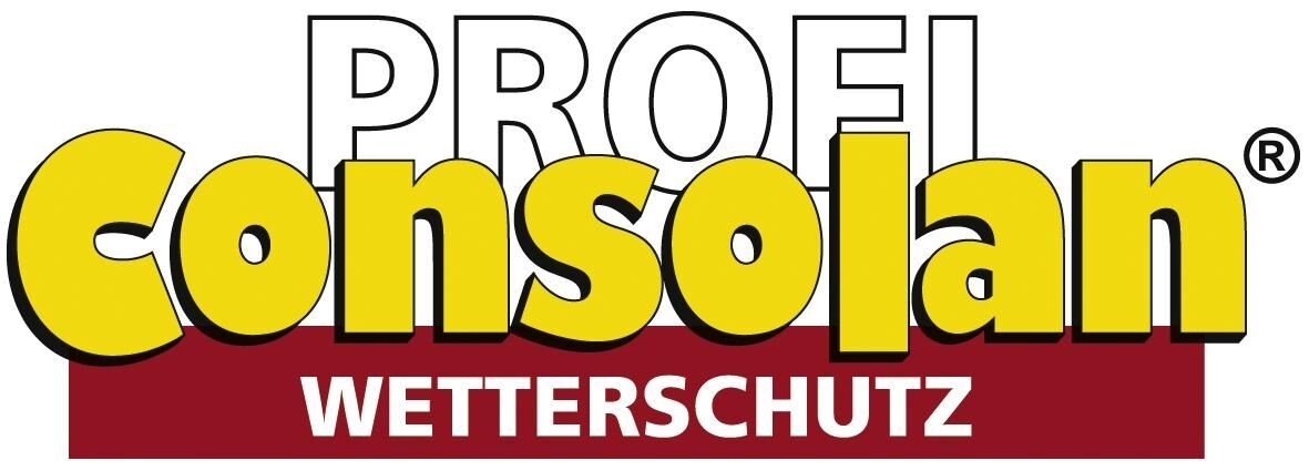 PROFICONSOLAN
