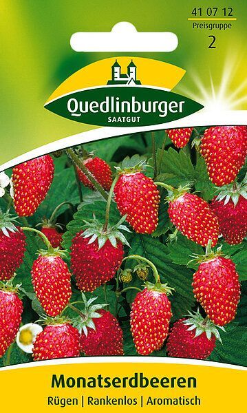 Monatserdbeeren Rügen