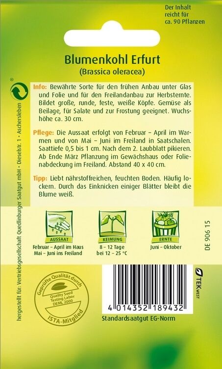 Blumenkohl Erfurt