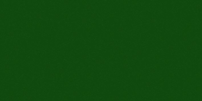 _2,5L Profi Consolan Wetterschutzfarbe moosgrün