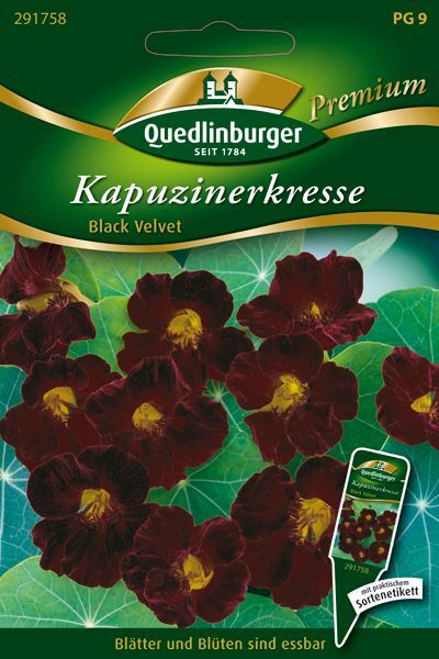 Kapuzinerkresse Black Velvet