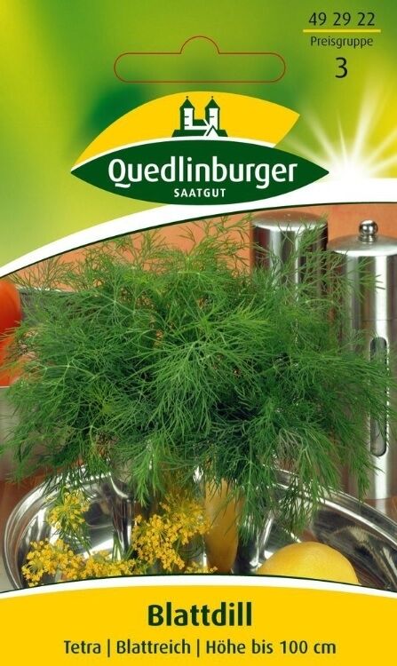 Dill Tetra Blattdill