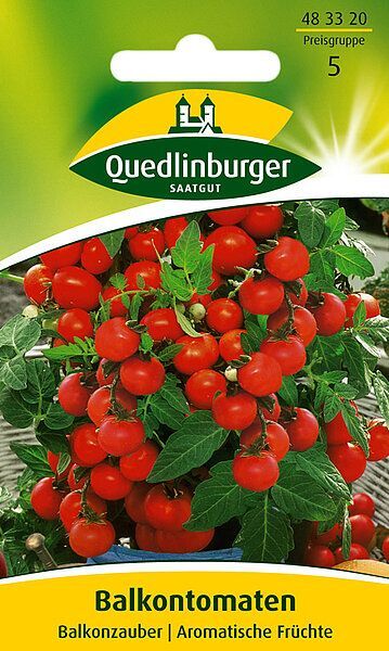 Balkontomaten Balkonzauber
