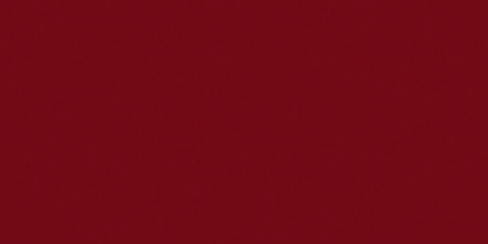 _2,5L Profi Consolan Wetterschutzfarbe schwedenrot