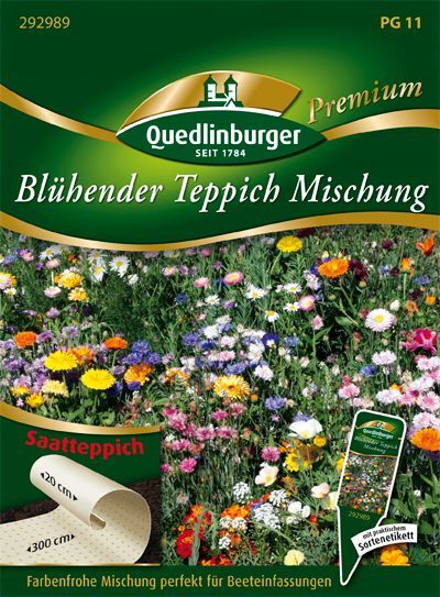 Blühender Teppich Mischung