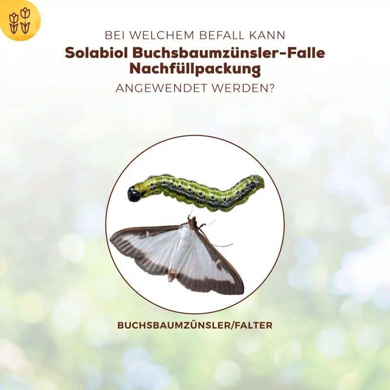 Solabiol Nachfüllpackung 2 Pheromonspritzen für Buchsbaumzünsler- Falle