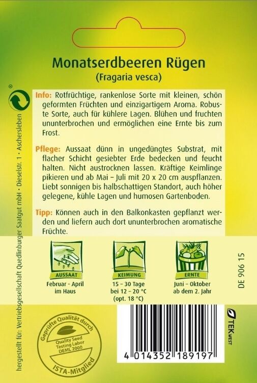 Monatserdbeeren Rügen