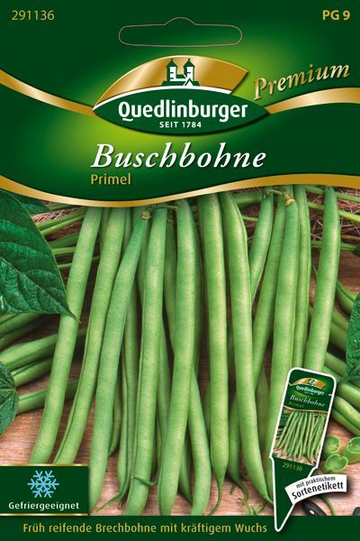 Buschbohne Primel