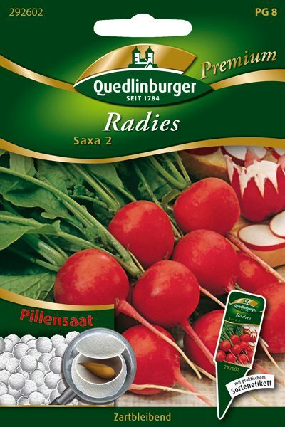 Pillensaat Radies Saxa 2