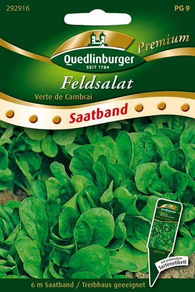 SB Feldsalat Verte de Cambrai