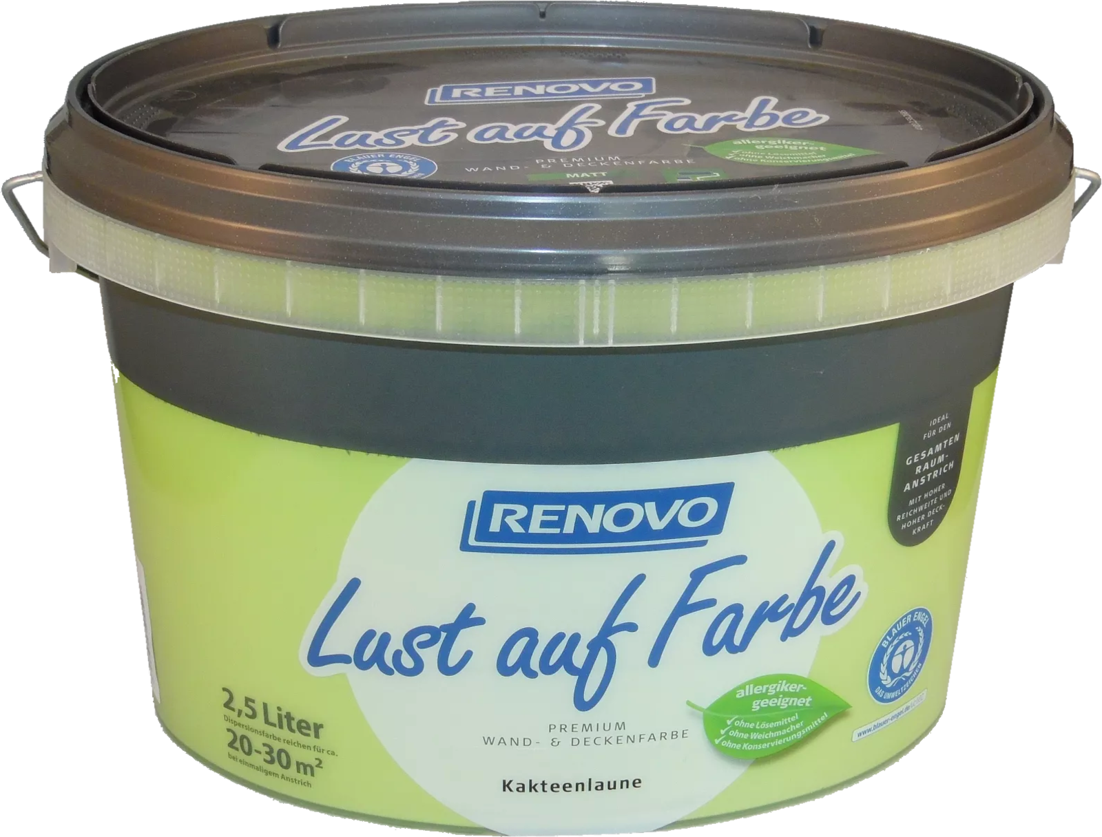 2,5L Renovo Lust auf Farbe, Kakteenlaune