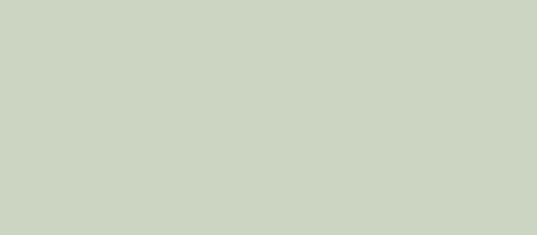 2,5L Renovo Cleancolors Magic Forest