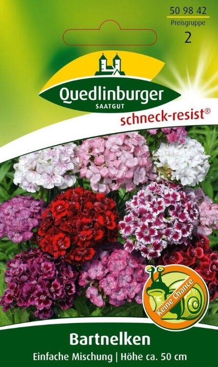 Bartnelken Einfache Mischung
