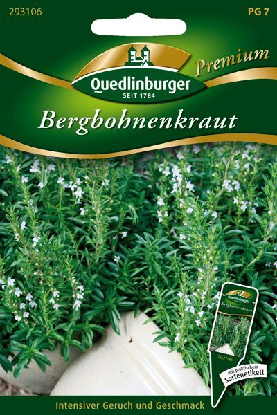 Bergbohnenkraut