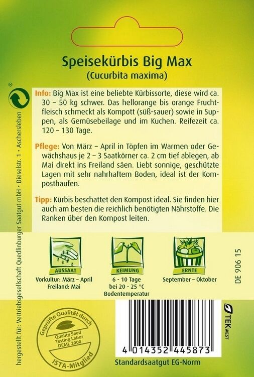 Speisekürbis Big Max, Große Früchte