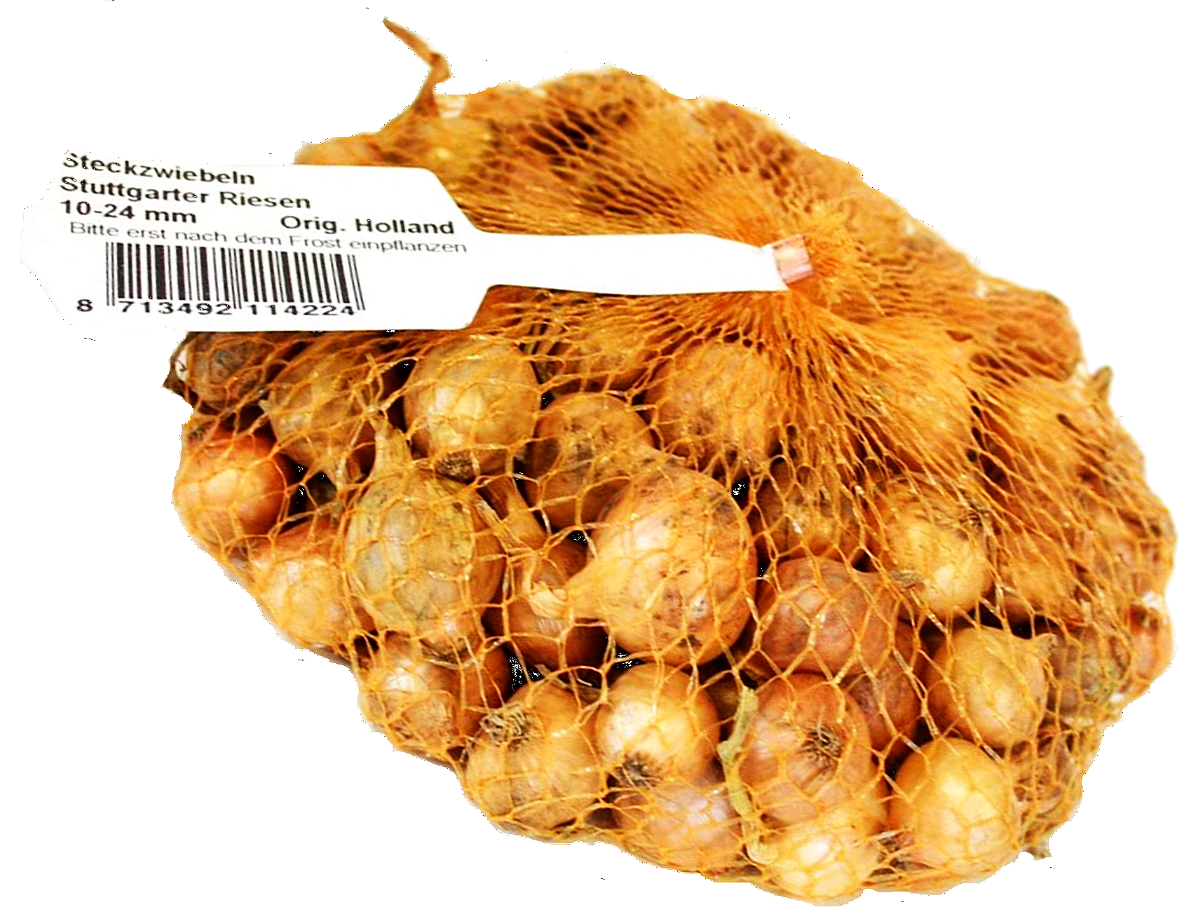 1 Kg Steckzwiebeln Stuttgarter Riesen