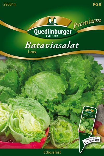 Bataviasalat Leny