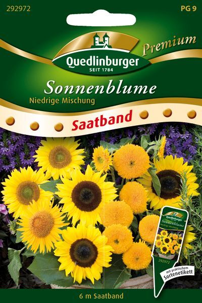 SB Sonnenblume Niedrige Mischung