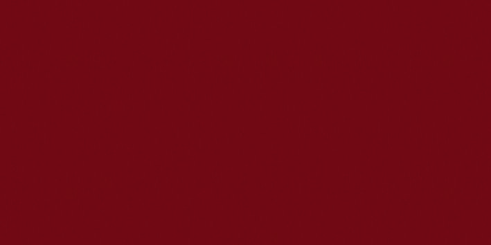 750ml Consolan Wetterschutzfarbe schwedenrot