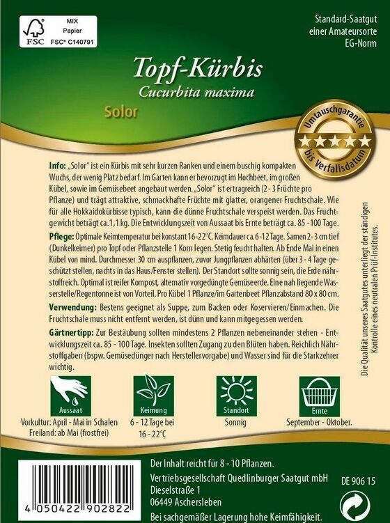 Topf-Kürbis Solor