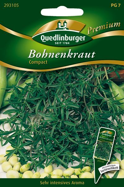 Bohnenkraut Compact