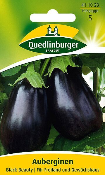 Auberginen Black Beauty