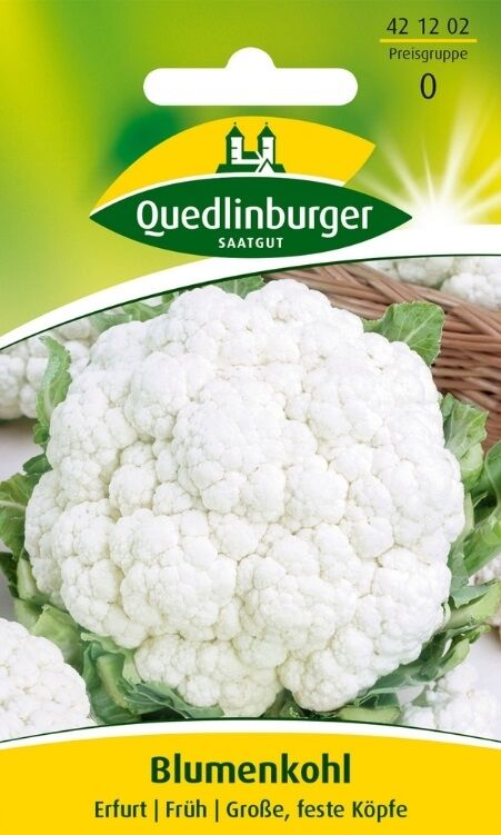 Blumenkohl Erfurt
