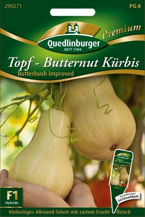 Topf-Butternut Kürbis