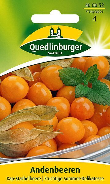 Andenbeeren Kap-Stachelbeere