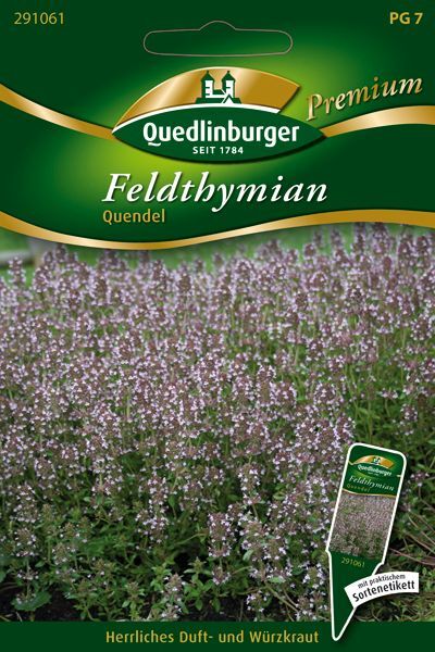 Feldthymian Quendel