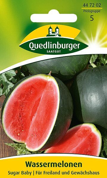 Wassermelonen Sugar Baby