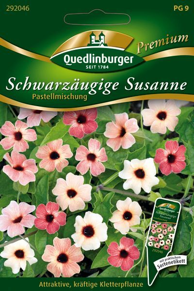 Schwarzäugige Susanne Pastellmischung