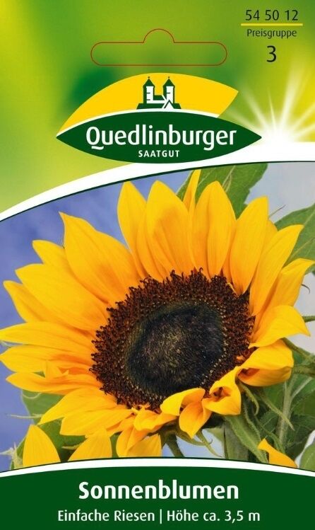 Sonnenblumen Einfache Riesen