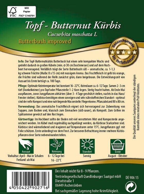 Topf-Butternut Kürbis