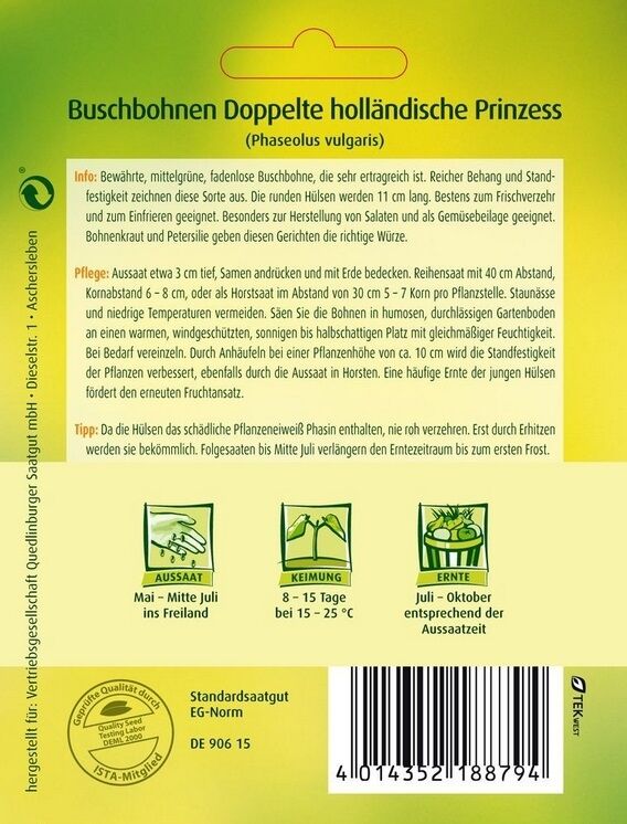 Buschbohnen Doppelte holländische Prinzess