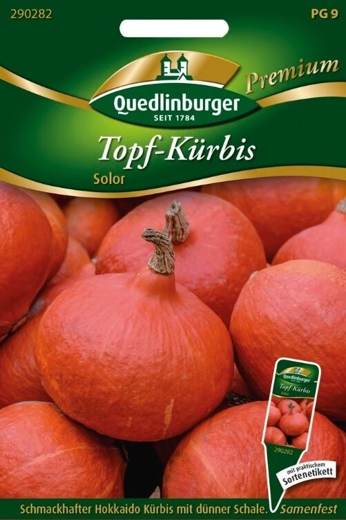 Topf-Kürbis Solor