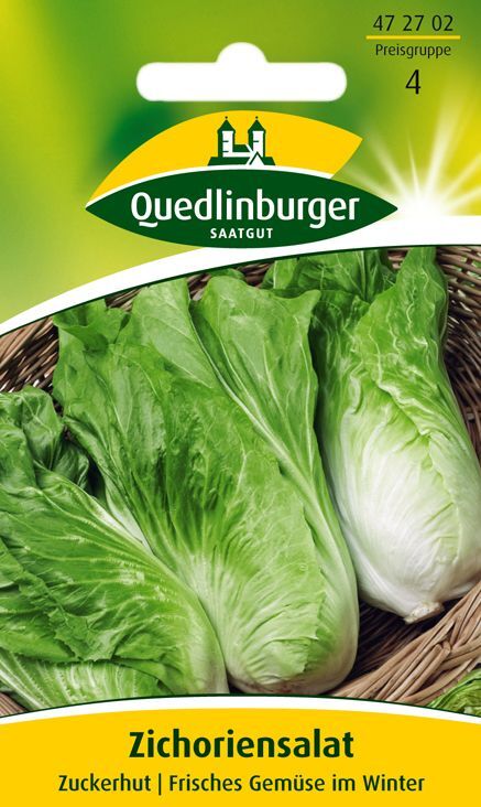 Zichoriensalat Zuckerhut