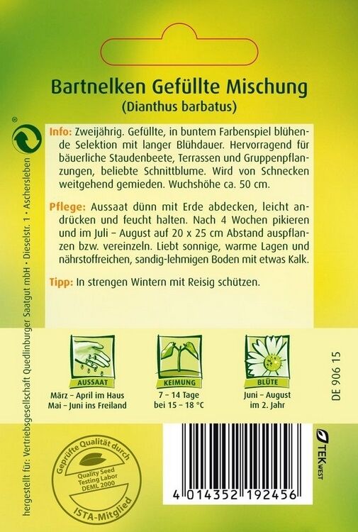 Bartnelken Gefüllte Mischung