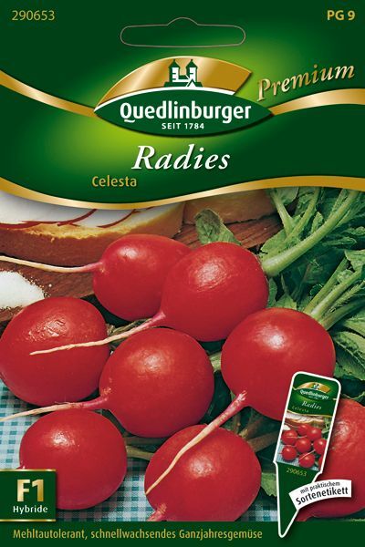 Radies Celesta