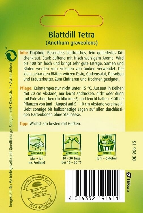 Dill Tetra Blattdill