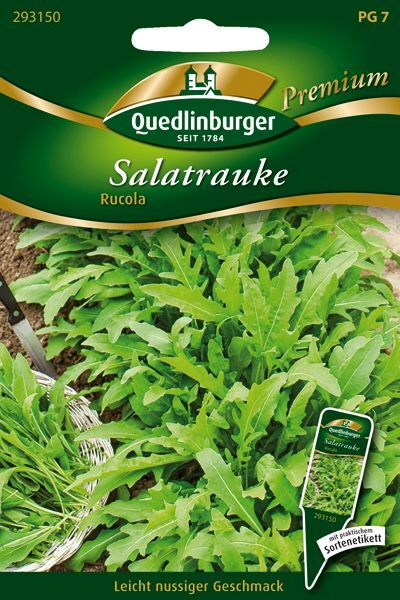 Salatrauke Rucola